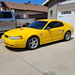 1999 Ford Mustang Part Out