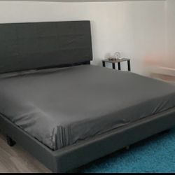 Queen Size Bed (Without Mattress)