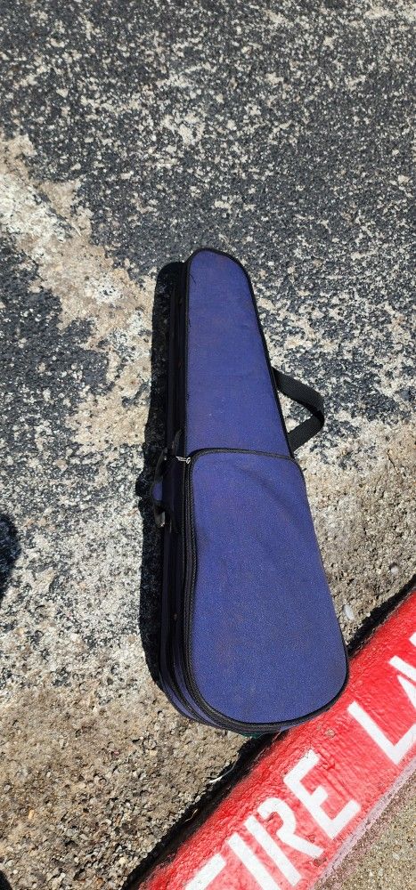 Violin Case