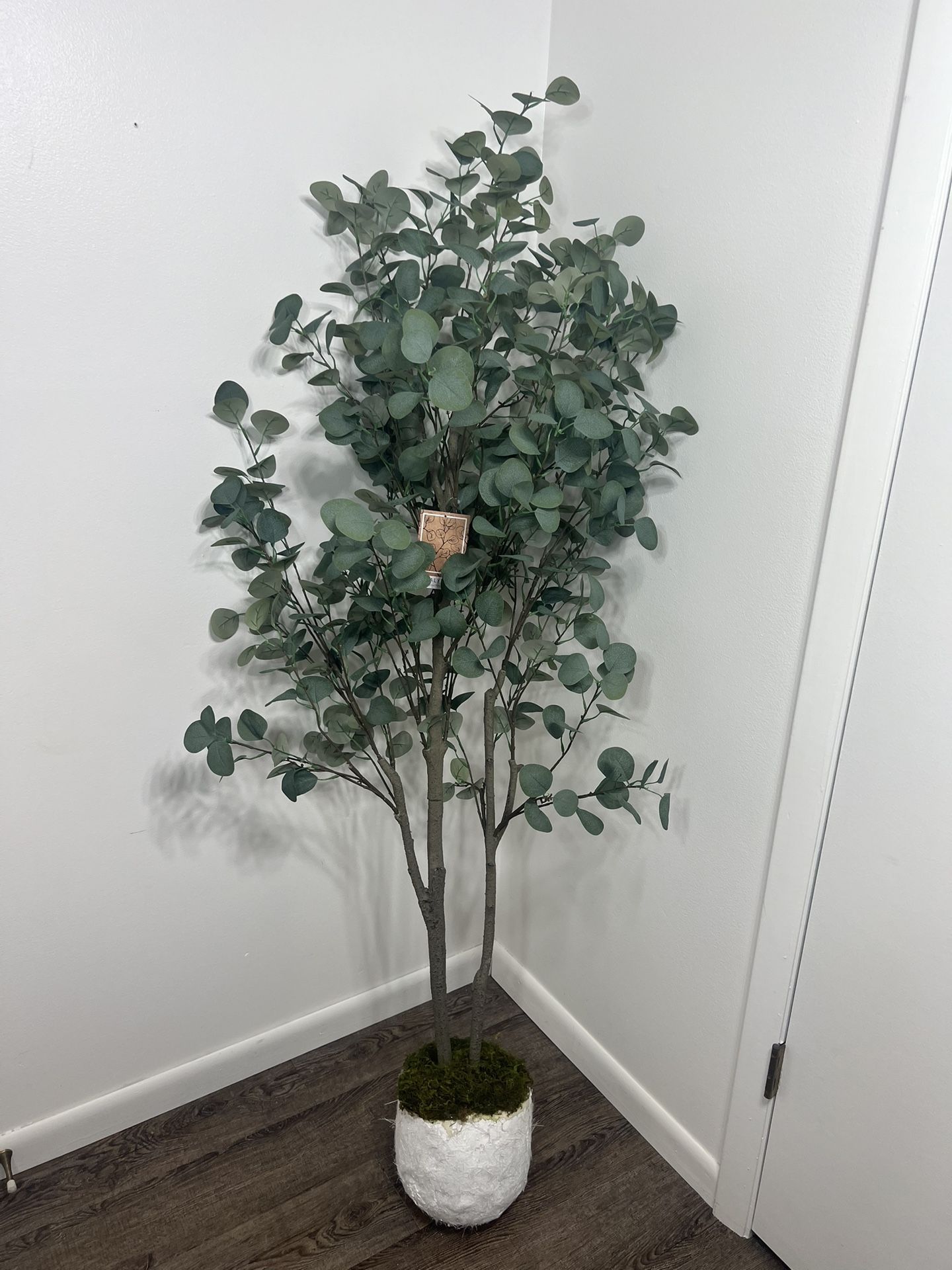 Artificial Eucalyptus Tree 65”