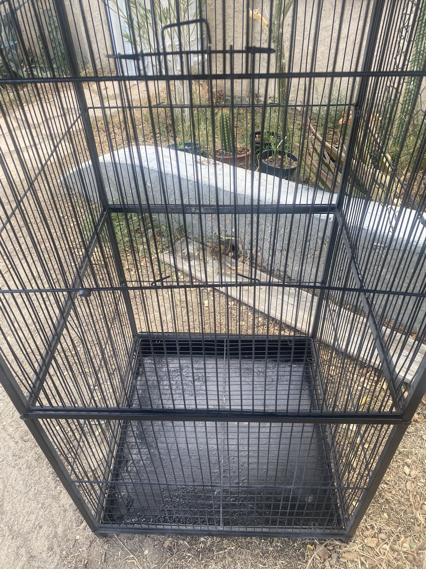 Bird Cage 
