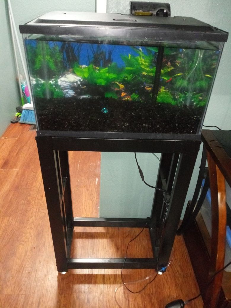 Aquarium / Fish tank