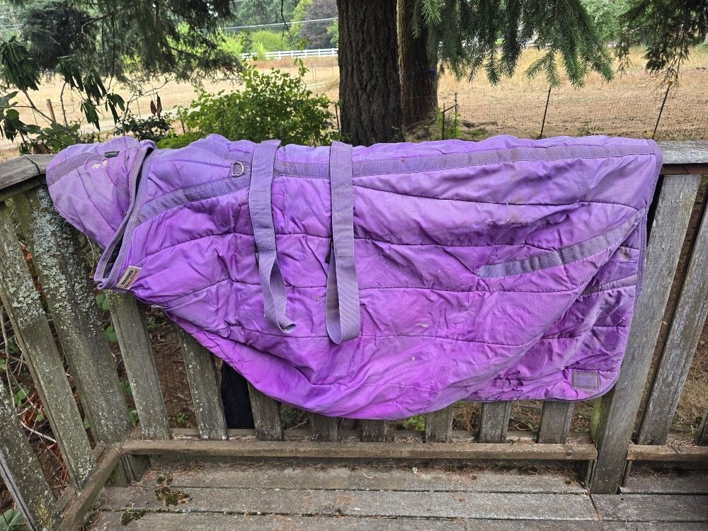 Horse Blanket Size 69
