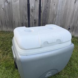 Igloo Cooler