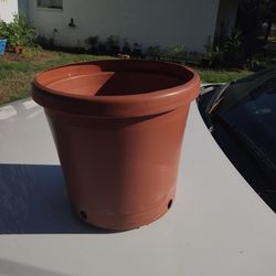 Nice Flower Pot