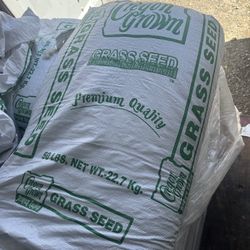 Rye Grass Seed 