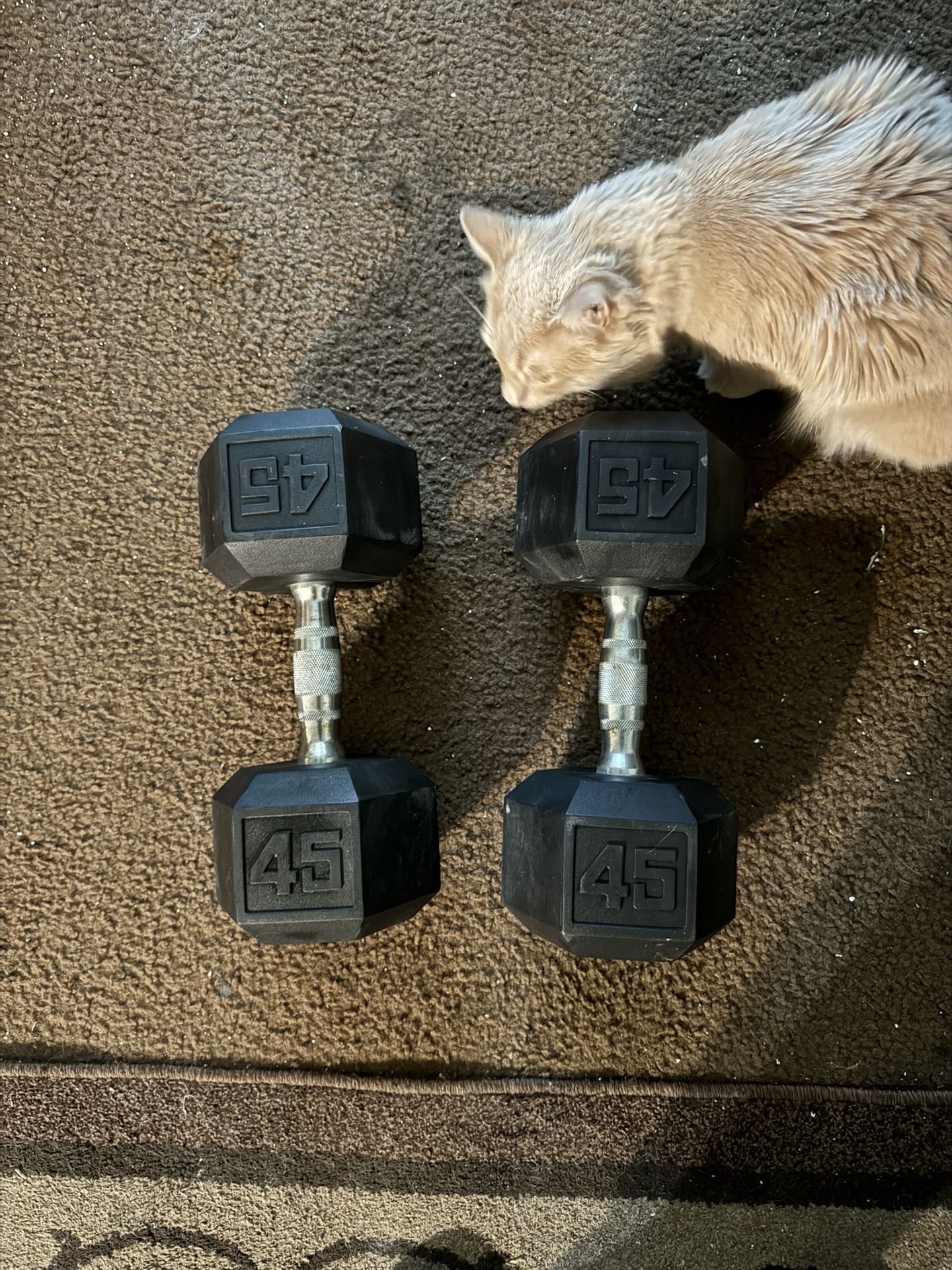 45pound dumbells