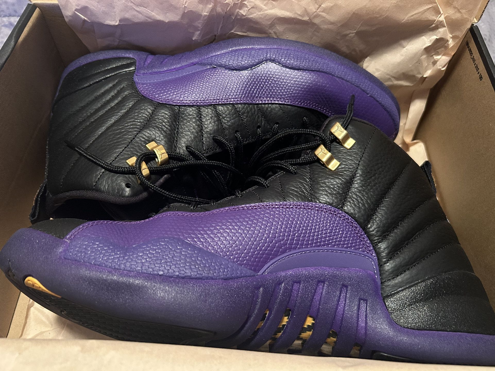 Jordan 12