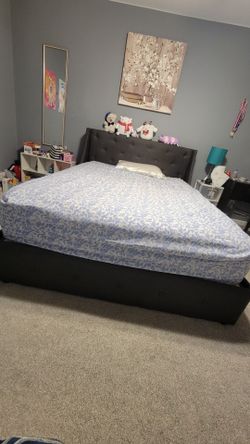 Dark Gray Upholstered Storage Bed Frame with Tufted Wingback Headboard