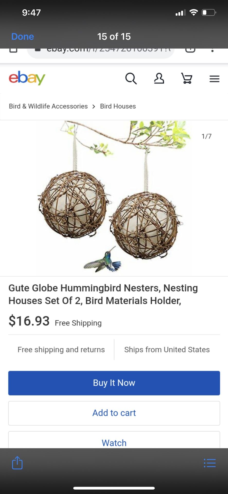 Fire Globa Hummingbird Nest