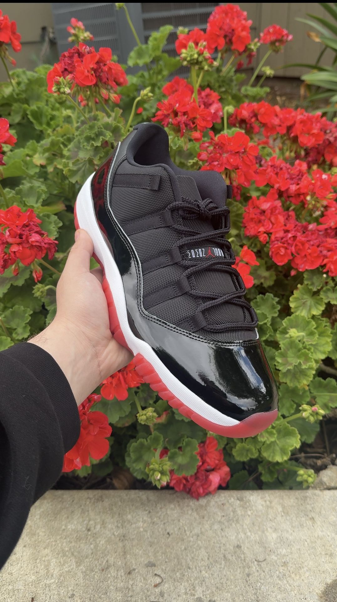 Jordan 11 Low Bred