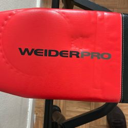 Welderpro Workout Bench