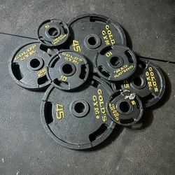 Golds gym Olympic weights