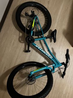 SPECIALIZED Mountain Bike