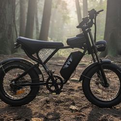 Ebike Ridstar