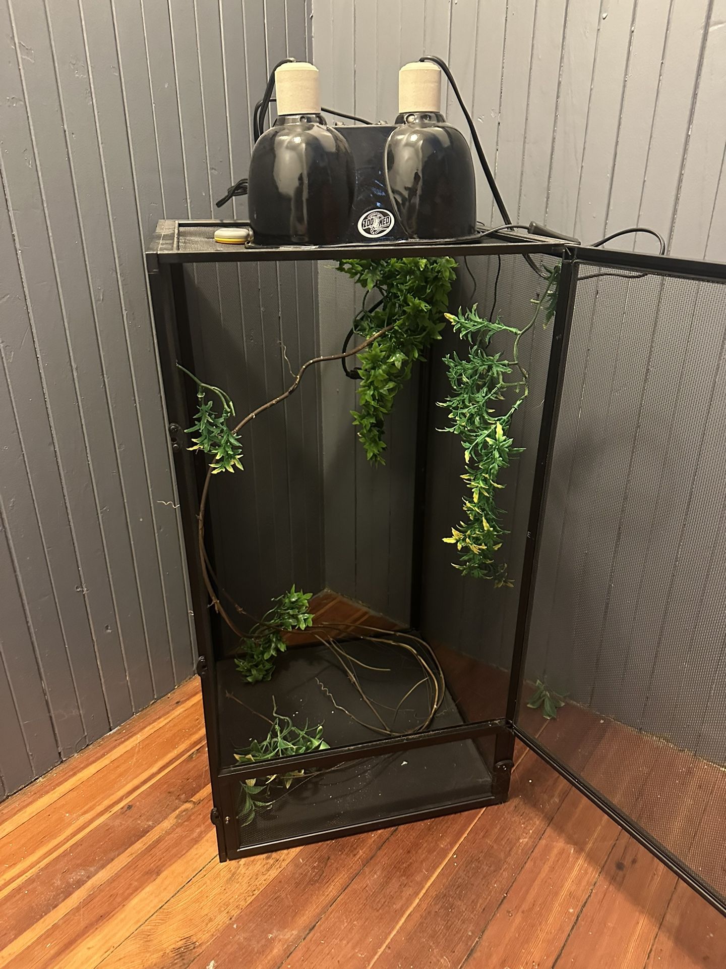 Chameleon Habitat Set Up