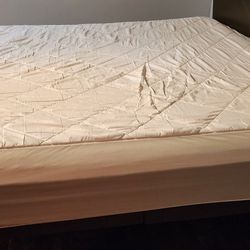 Adjustable King Bed W/ Mattress 