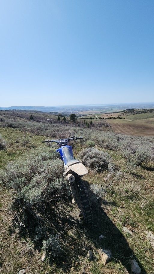 2007 Yamaha TTR125L