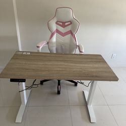 Office Standing Desk And  Leather Chair
