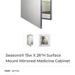 HD Supplies Medicine Cabinet 
