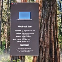 Apple Macbook Pro Intel Core i7 16 Gb Ram 2018 Model A1989