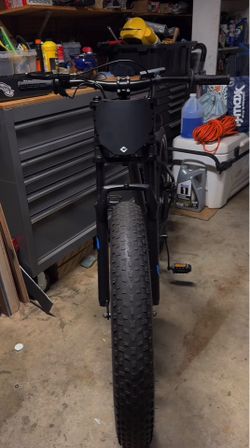 fat tire electric bike