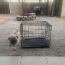 Dog Kennel