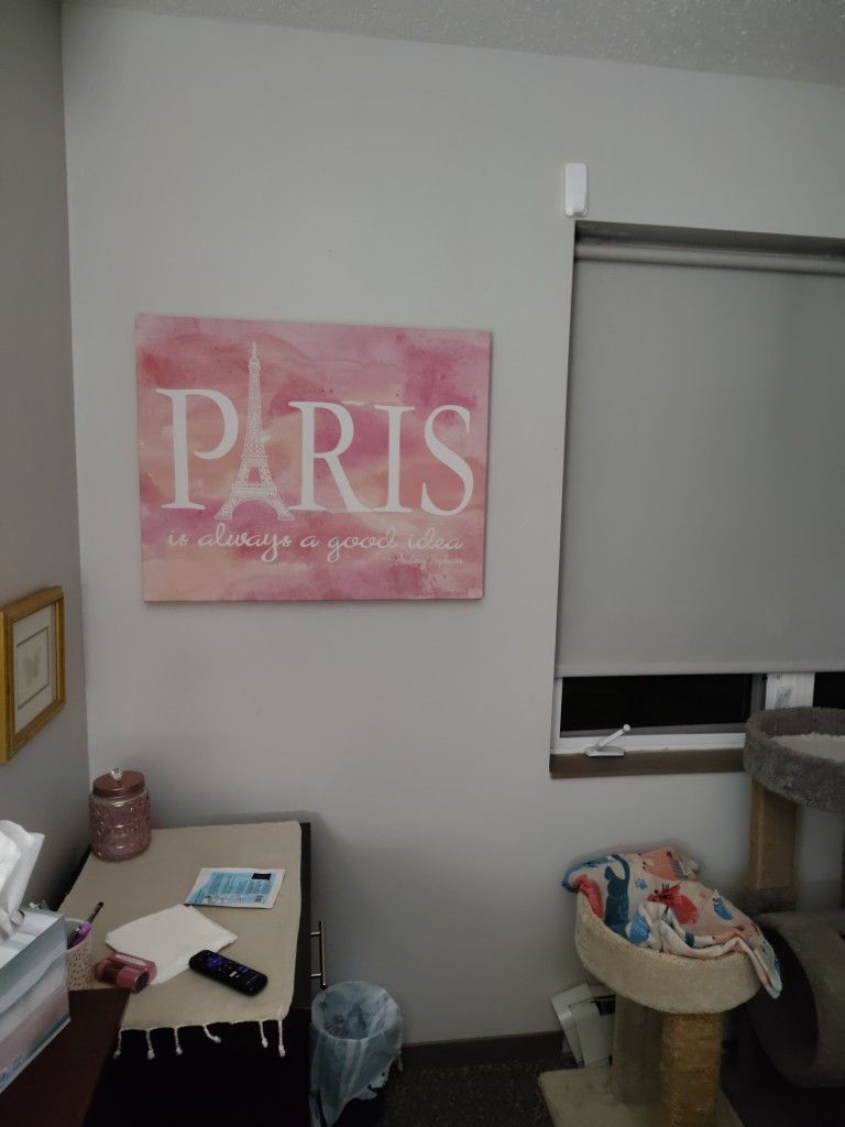 Large Pink Paris Canvas Wall Decor