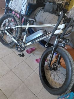 Fat tire electric bike