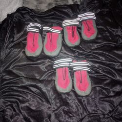 Dog Rain Shoes