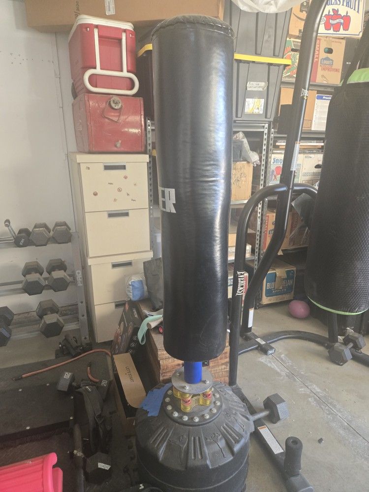 Freestyle Punching Or Kicking Bag