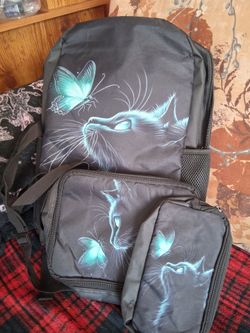 3 piece cat back pack
