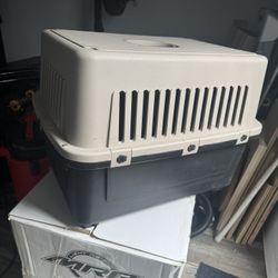 Dog Crate For Sale 