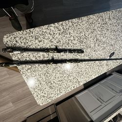 Savage Gear Squad Musky Casting Rod