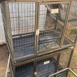 Double Stack Crate Kennel Dog