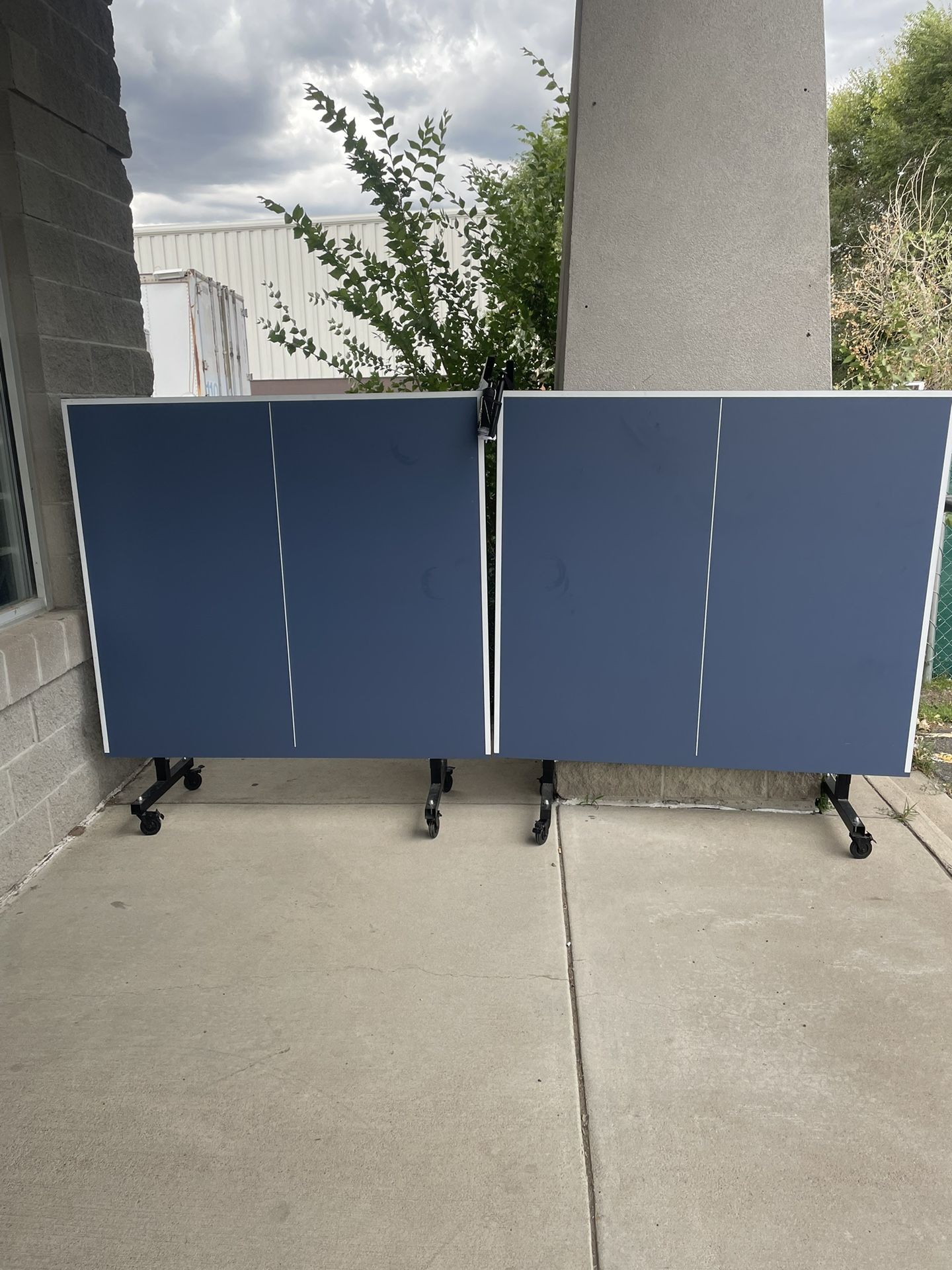 Ping Pong Table