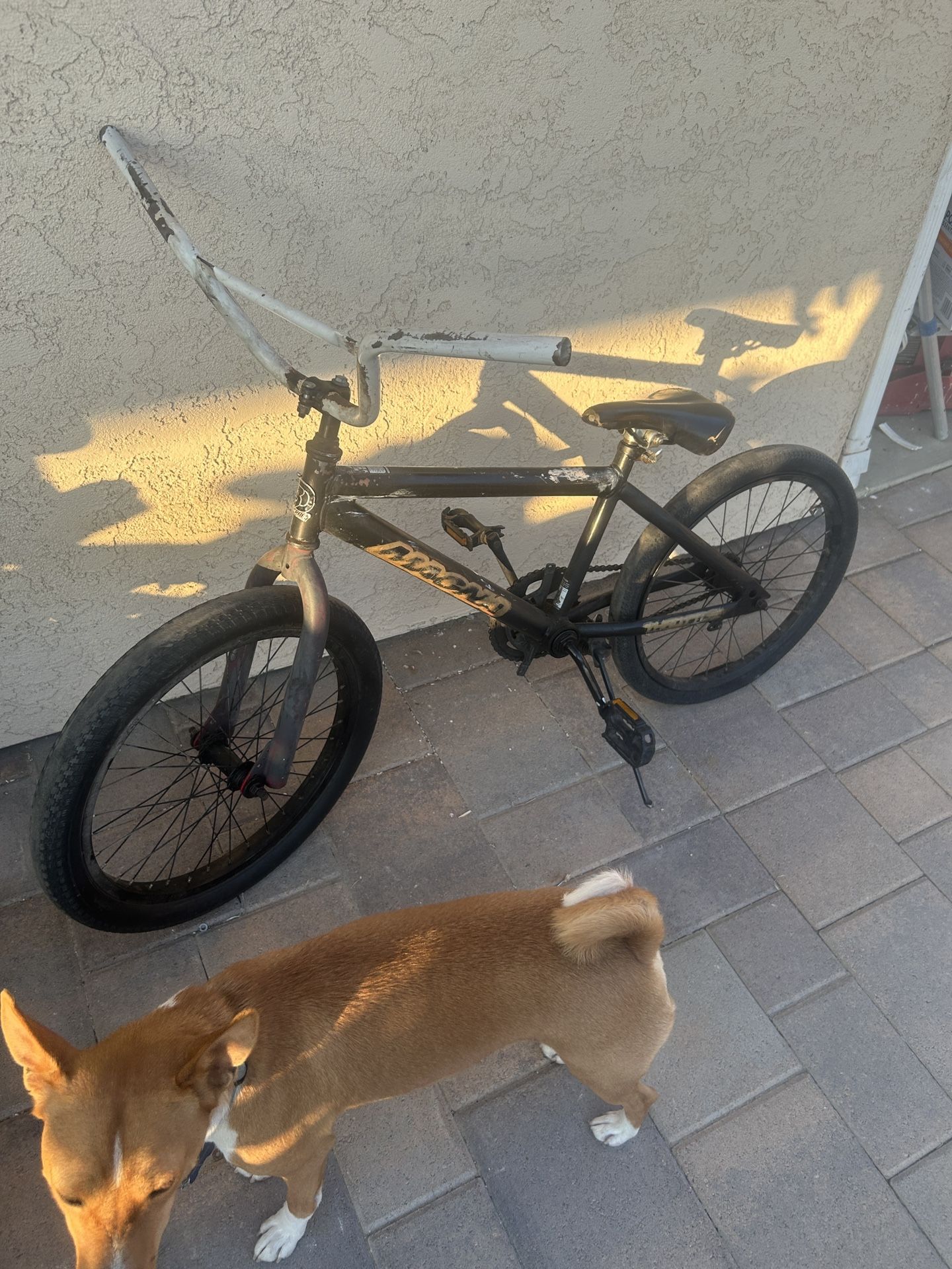 Magna 20” BMX Bike