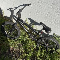 Black Mongoose Bike 20”