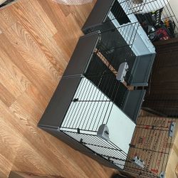 Rabbit, Hamster, Small Animal Cage