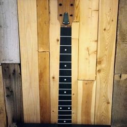 Taylor Acoustic Guitar Neck