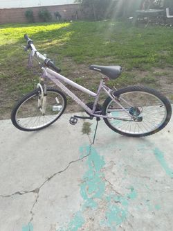 26 Inches Roadmaster Mountain Bike 