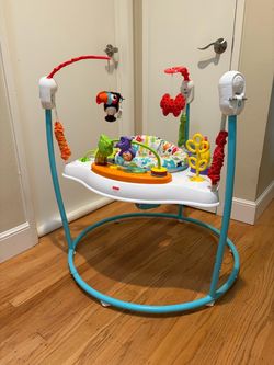 Fisher Price Baby Bouncer