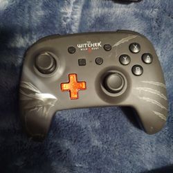 Nintendo Switch Wireless Controller