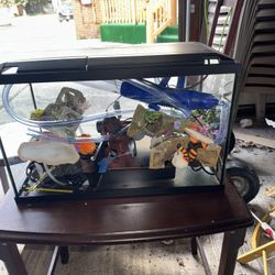 Fish Tank
