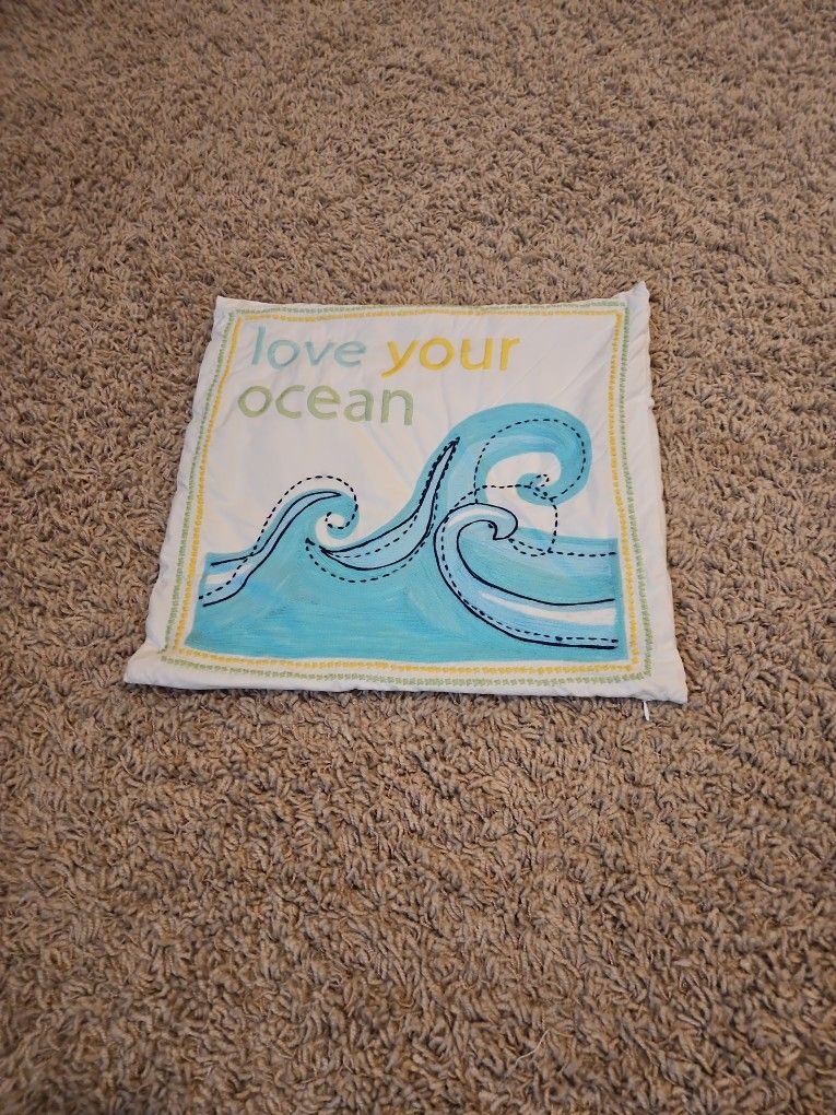 Pottery Barn Pillow Cover