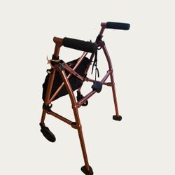 Foldable Walker