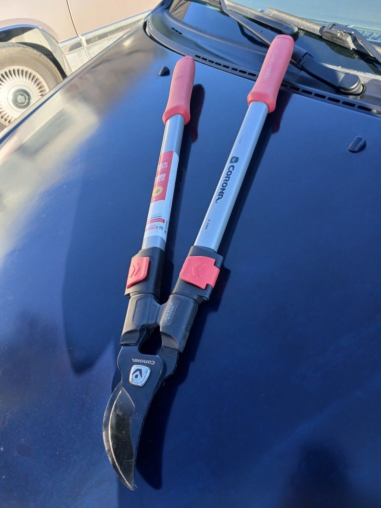 Tijeras Con Extension