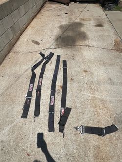 Harness