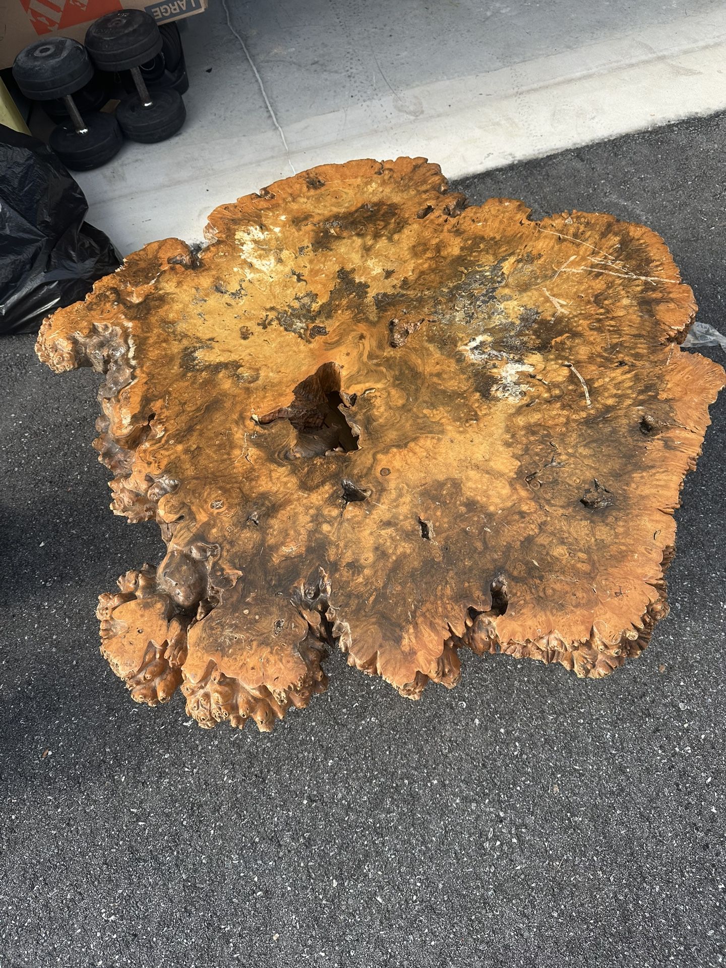 Burl Wood Table