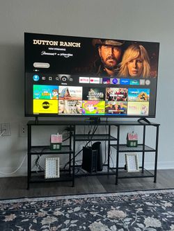 Insignia 55 inch TV